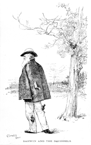 Darwin and the Squirrels, illustration from 'Charles Darwin, His Life and Work' by Charles Frederick Holder, 1899 (engraving)