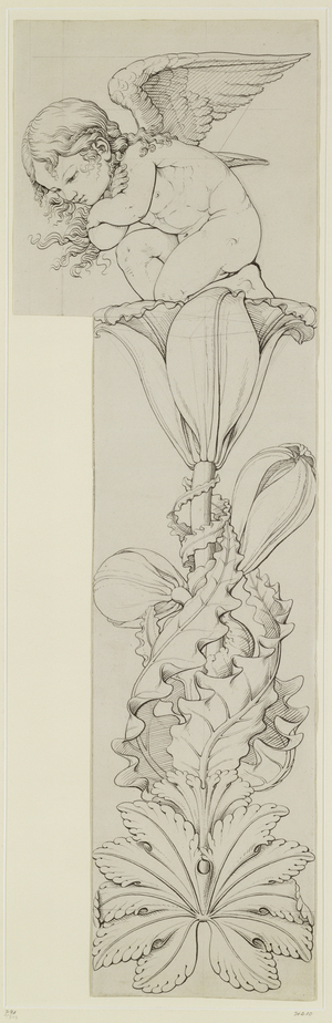 Genius of the Lily, 1809 (pencil and wash on paper) (right wing)