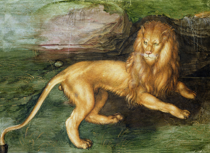 Lion, 1494 (w/c on paper)