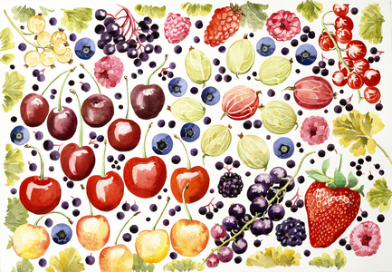 Soft Fruit (w/ con paper)