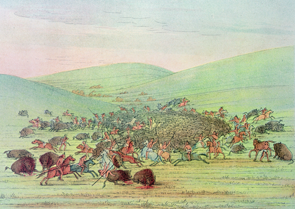 Minatarees attacking buffalo on horseback (colour litho)