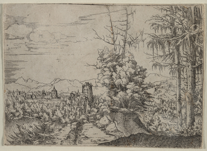 Landscape with Two Pines, 1522-1525 (etching)