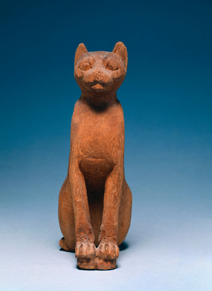 Cat Coffin, 664-30 BC (sycamore fig)