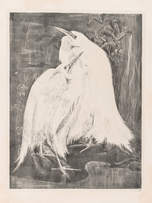 Animal Studies: Two Silver Herons, 1898 (embossed lithograph)