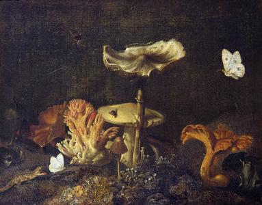 Still Life with Mushrooms and Butterflies (oil on canvas)