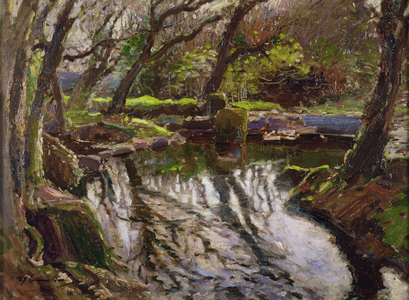 Reflections (oil on canvas)