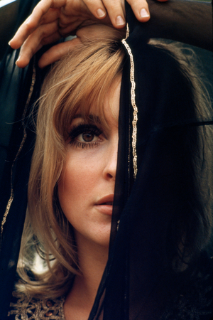 Sharon Tate, c.1966 (35mm colour photo)