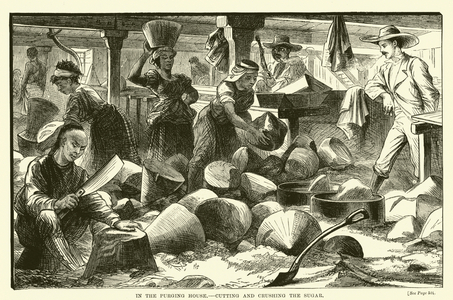 In the purging house, cutting and crushing the sugar (engraving)