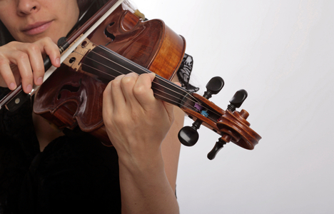 Viola - generic close-up