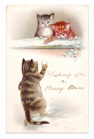 Edwardian postcard of a cat throwing a snowball at two cats, c.1910 (colour litho)