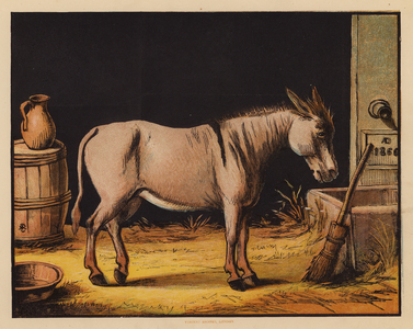 The Ass (colour litho)
