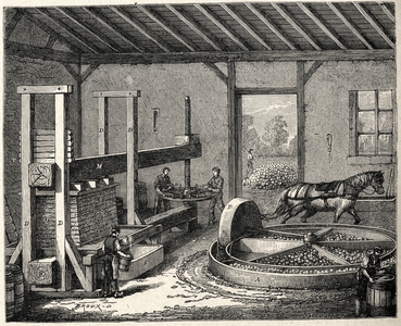 Food and Beverage. Cider making: grinding the apples in Normandy. Engraving in: Grands hommes et grands faits de l'industrie, France, c.1880 (engraving)