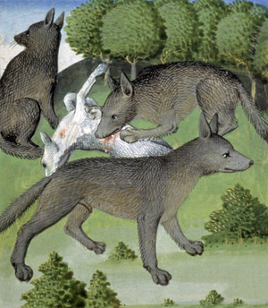 Wolves, 15th century (miniature)