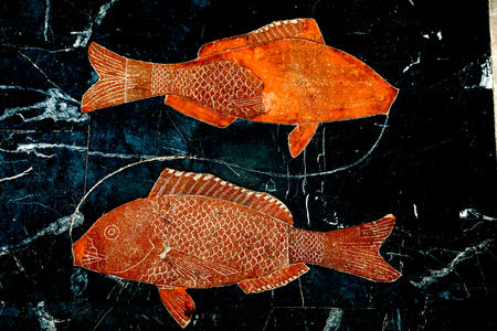 San Nicola l'Arena church, Catania, Sicily (Italy). Pisces astral sign on the meridian. (photo)