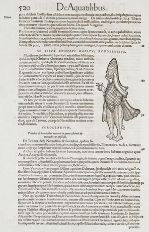 An illustration of the aquatic bishop