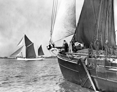 Sailing Regatta on the Thames (b/w photo)