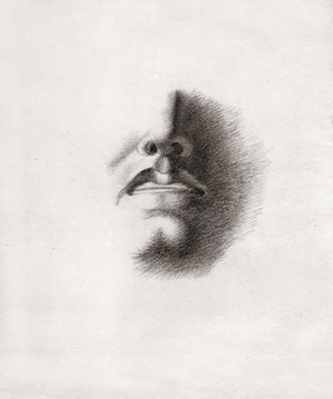 Study for the face of a man: mouth and nose. circa 1830 (drawing)