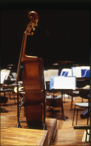 Double Bass - a double bass standing in a room with music stands.