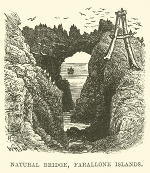 Natural Bridge, Farallone Islands (engraving)