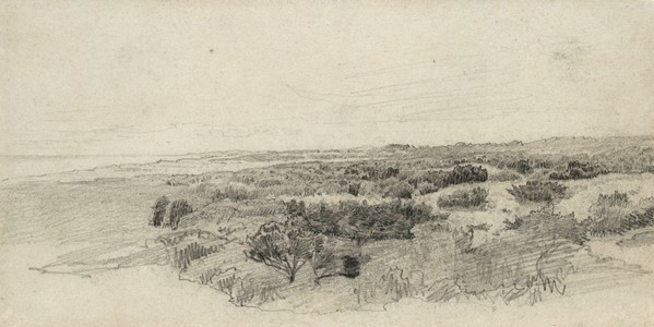 Landscape with Trees (pencil on paper)