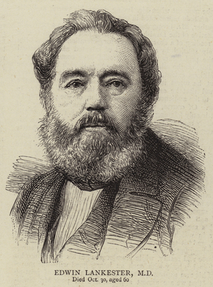 Edwin Lankester, MD (engraving)