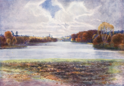 Surrey: Virginia Water (colour litho)