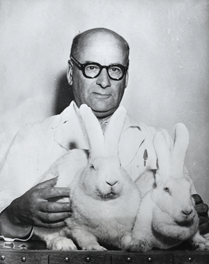 Professor Haeggquist with Two Rabbits, Paris, France, 1949 (silver gelatin print)