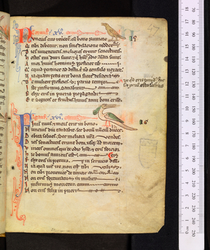 Prenostica Pitagorice consideracionis, c1240-1259 (manuscript)