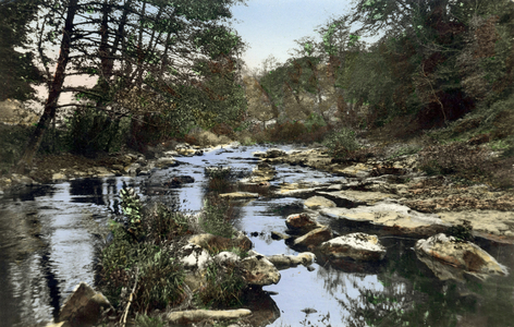 La Salvetat sur Agout (Herault, France): banks of the Agout river, Postcard, c. 1961