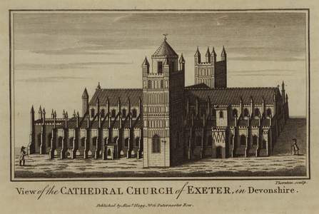 View of the Cathedral Church of Exeter, in Devonshire (engraving)