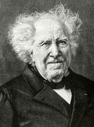 Portrait of Michel Eugene Chevreul (1786-1889), French chemist (engraving)