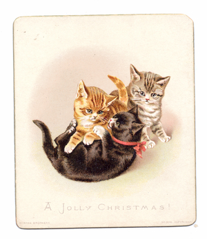 A Victorian Christmas card of three kittens playing and wrestling, c.1880 (colour litho)