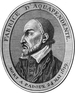 Fabrice d'Aquapendente (1537-1619) surgeon and anatomist, teaching in Padoue, engraving