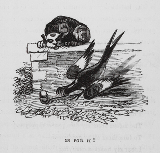 In For It! (engraving)