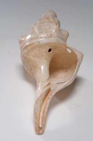 Conch Shell Trumpet, c.250-400 (shell with traces of cinnabar)