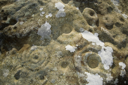 'Cup and ring' marked rock, early Neolithic petroglyph rock art, Lordenshaws, Northumberland National Park, UK (photo)