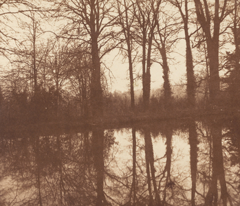 Winter Trees, Reflected in a Pond,1841-1842 (photo)