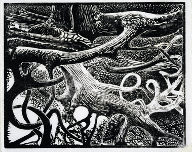 Tree Roots, c.2010 (etching)