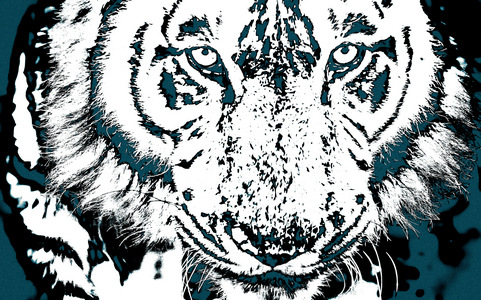 Year of the Tiger (5), 2021 (painted photograph)