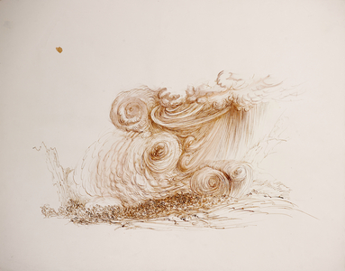 Leonardo 43 (drawing)