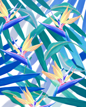 Lush, 2016 (digital illustration)