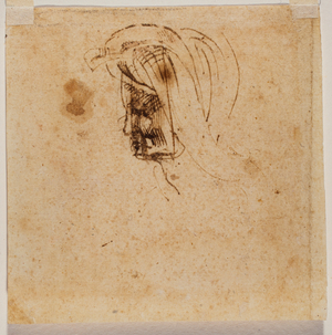 Female head, 1517 (drawing)