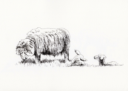 Quiet Moment, 2018, (line drawing)