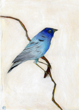 Little Blue, 2012 (oil pastel on paper)