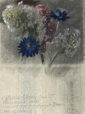 Love in the Mist, probably Valerian and possibly Dandelion clocks, June 1985 (silver point & pastel on paper)