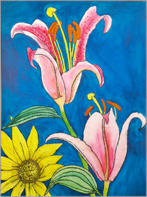 Stargazer