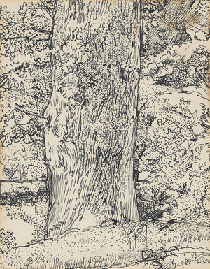 Tree, 1916 (ink on paper)