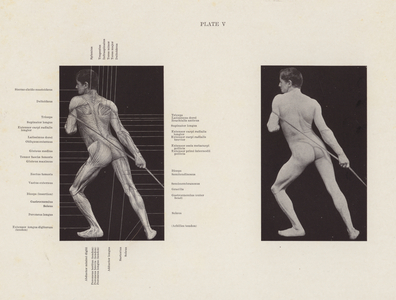Living Anatomy: Dragging at a Rope (b/w photo)