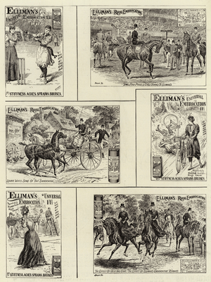 Advertisement, Elliman's Embrocation (engraving)