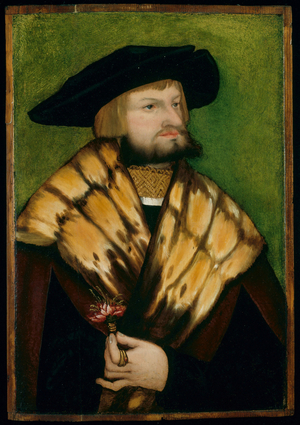 Portrait of Leonhard Fuchs, 1525 (oil on panel)